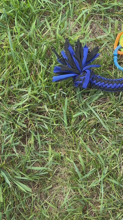 Cocker Spaniel Male (Mason)